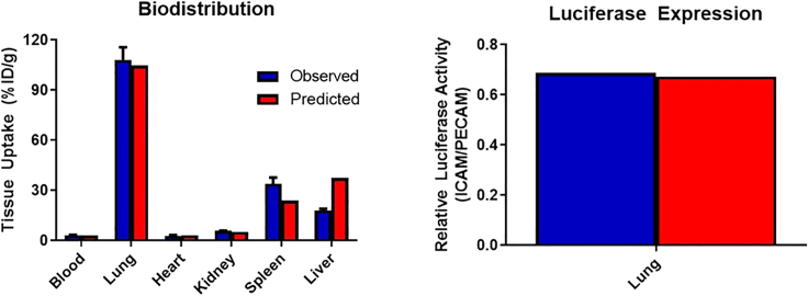 Figure 5