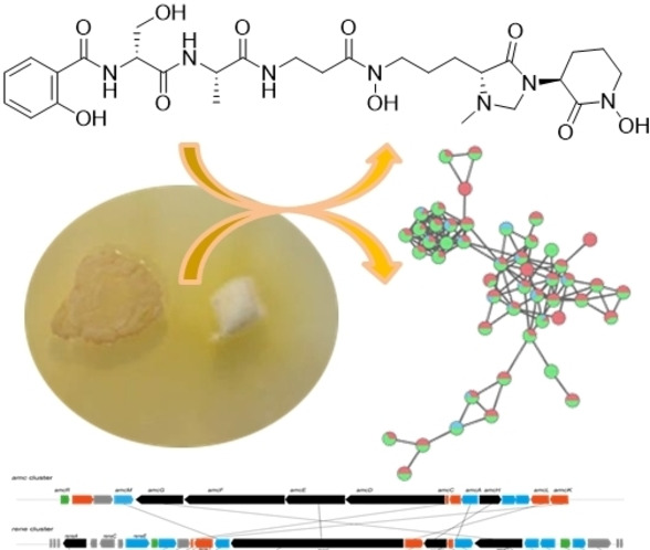 graphic file with name CHEM-28-0-g001.jpg