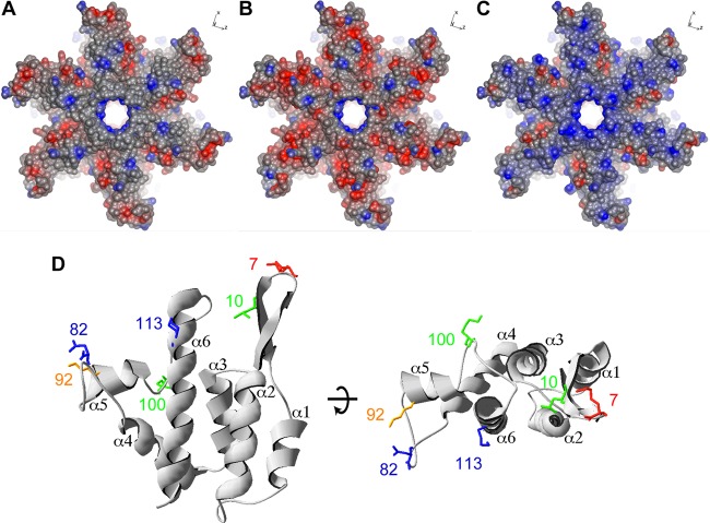 Fig 9