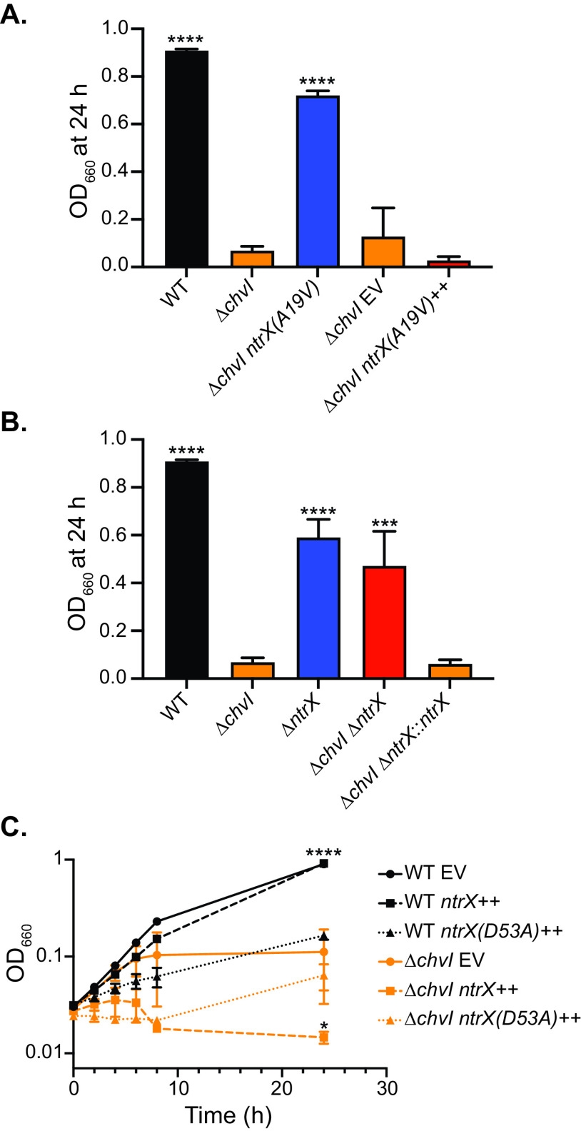 FIG 4