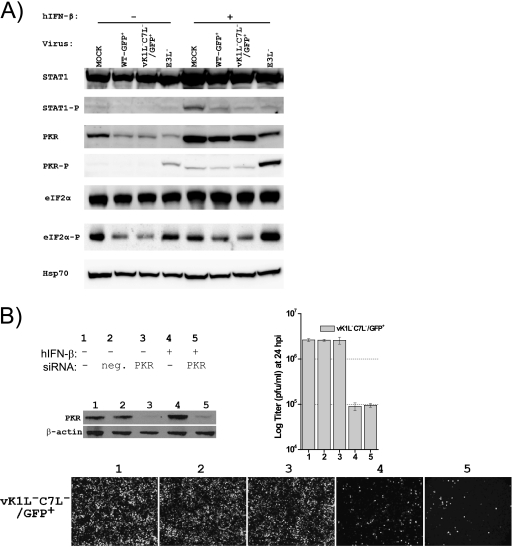 FIG. 7.