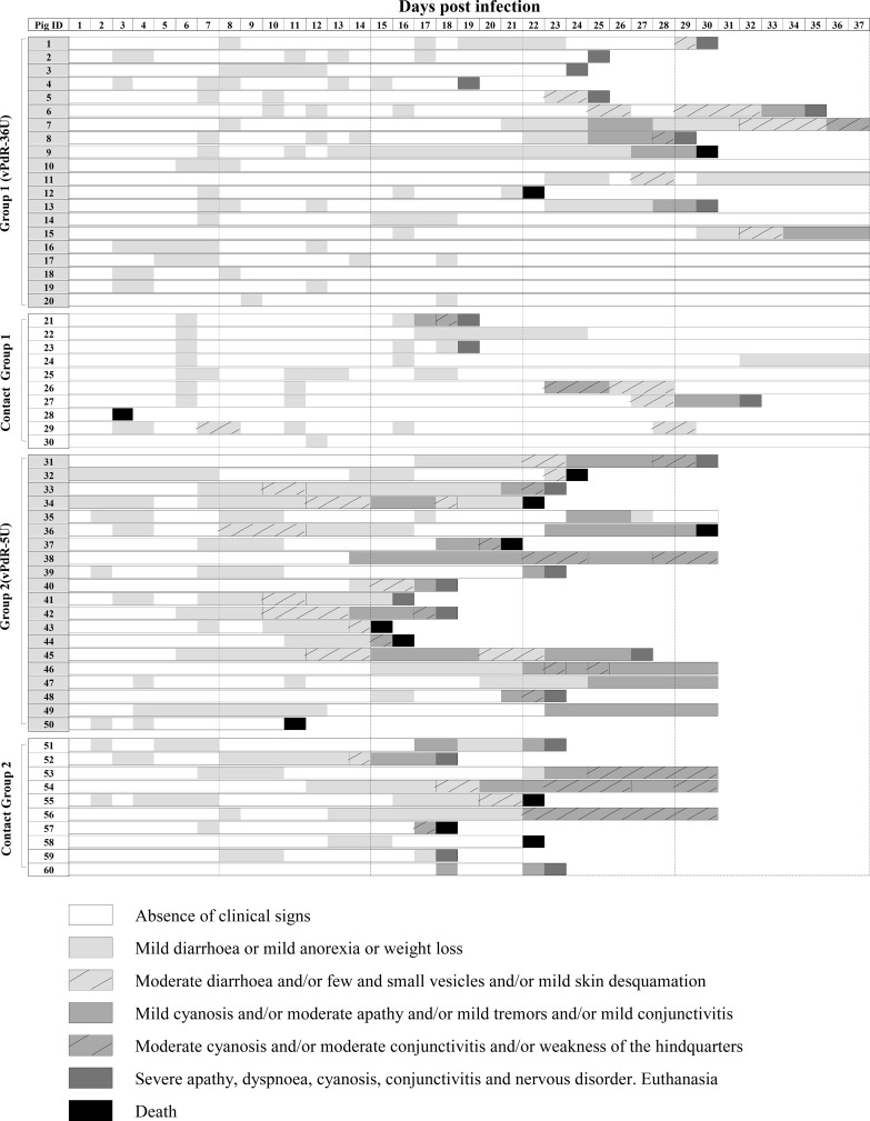 FIG 2