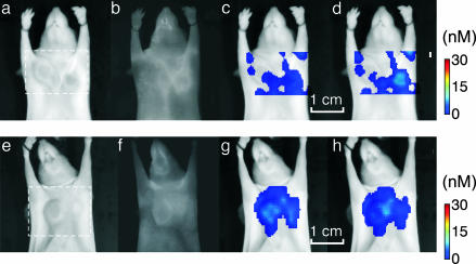 Fig. 5.