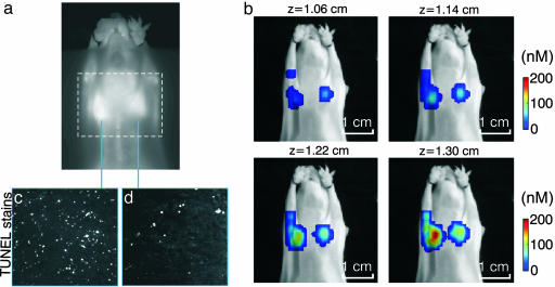 Fig. 3.