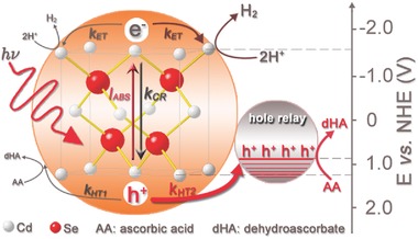 Figure 15