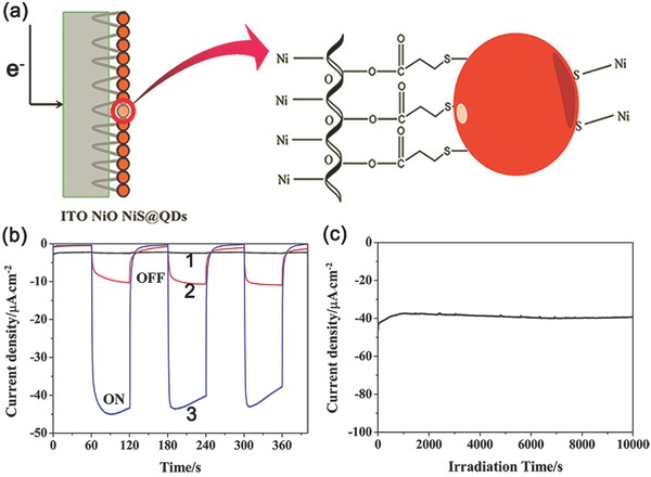 Figure 14