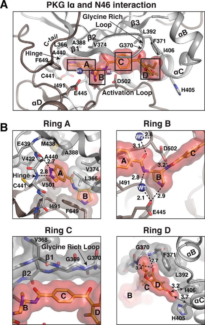 Figure 2.