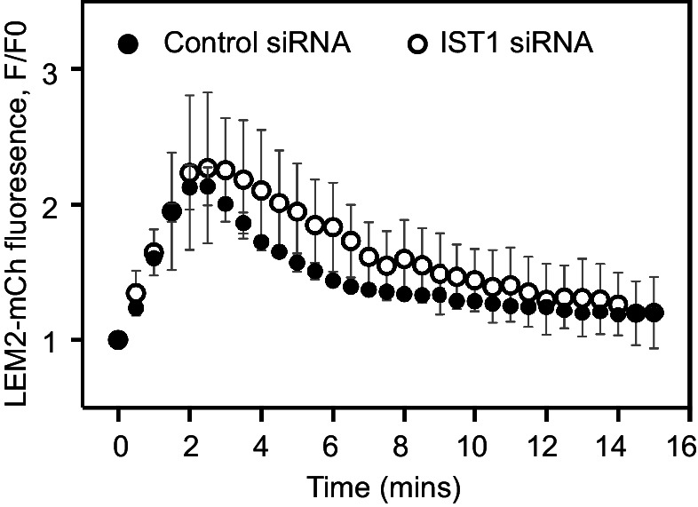 Figure 1—figure supplement 3.