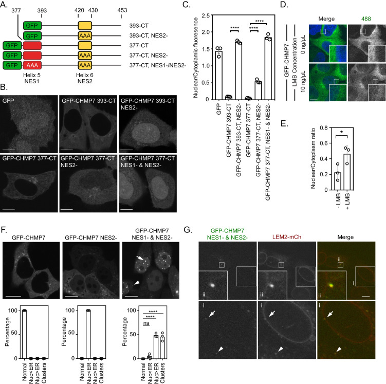 Figure 2—figure supplement 1.