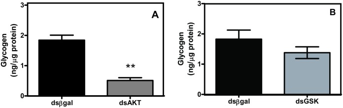 Fig 5