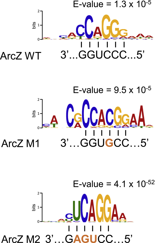 Figure 3