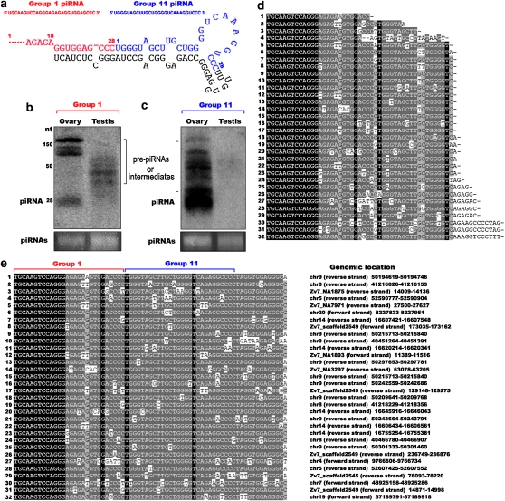 Figure 6.—