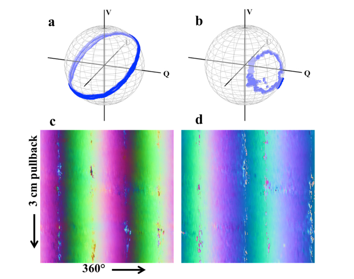 Fig. 3