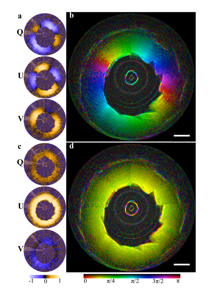 Fig. 6