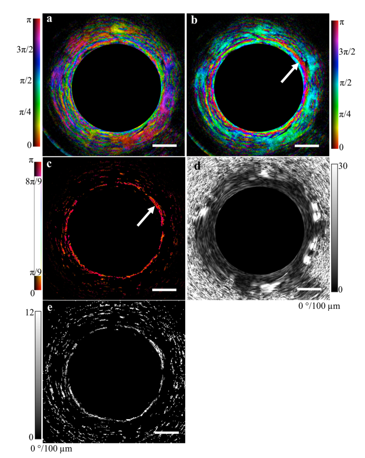 Fig. 7