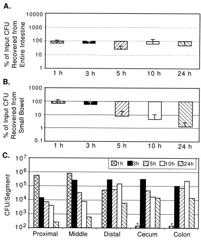 FIG. 4