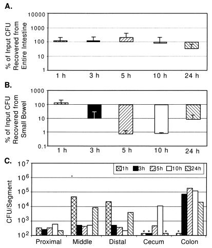 FIG. 7