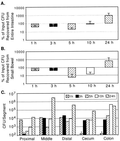 FIG. 1