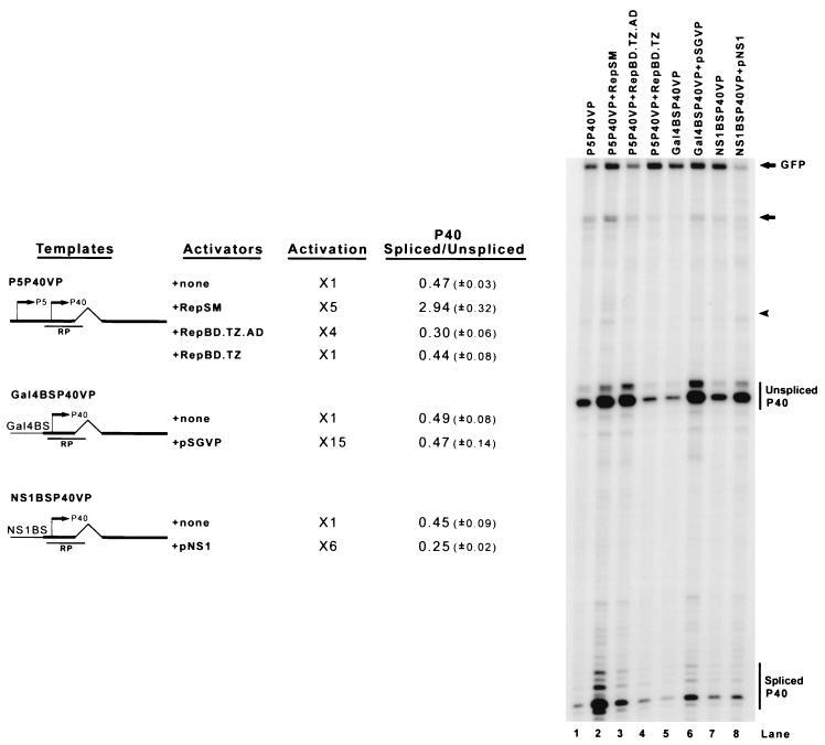 FIG. 4.