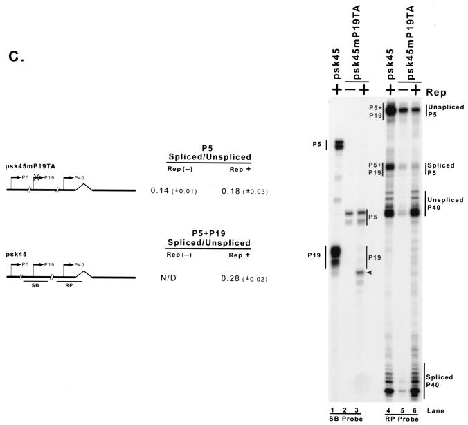 FIG. 6.