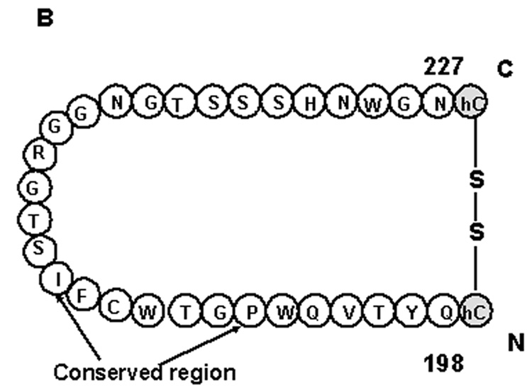 Fig.1