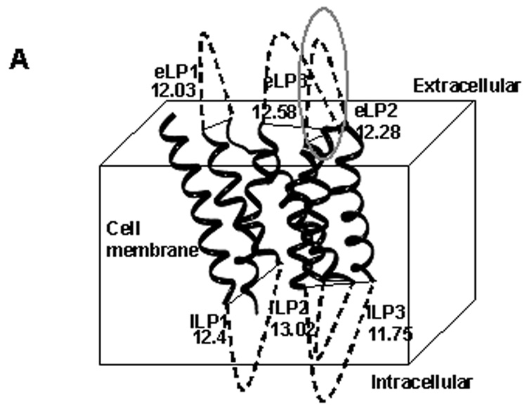 Fig.1