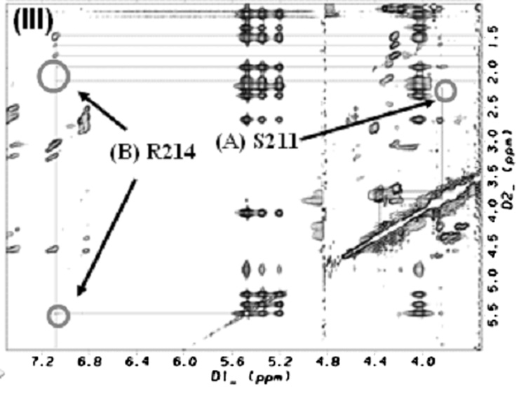 Fig.5