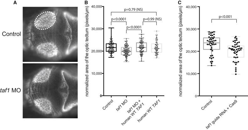 Figure 4