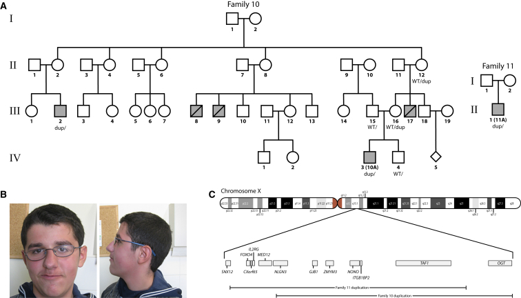 Figure 3