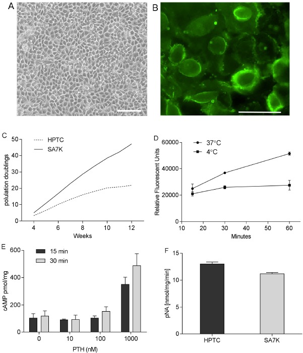 Fig. (1)