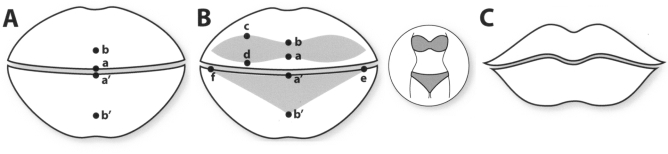 Figure 2)