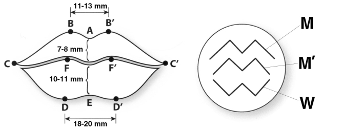 Figure 1)