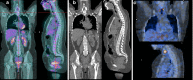 Fig. 3