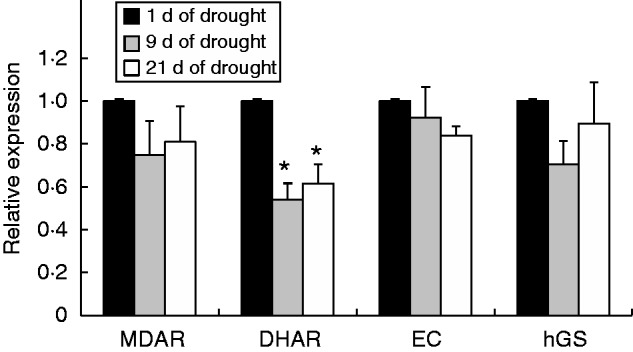 Fig. 8.