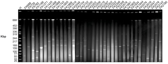 Figure 2