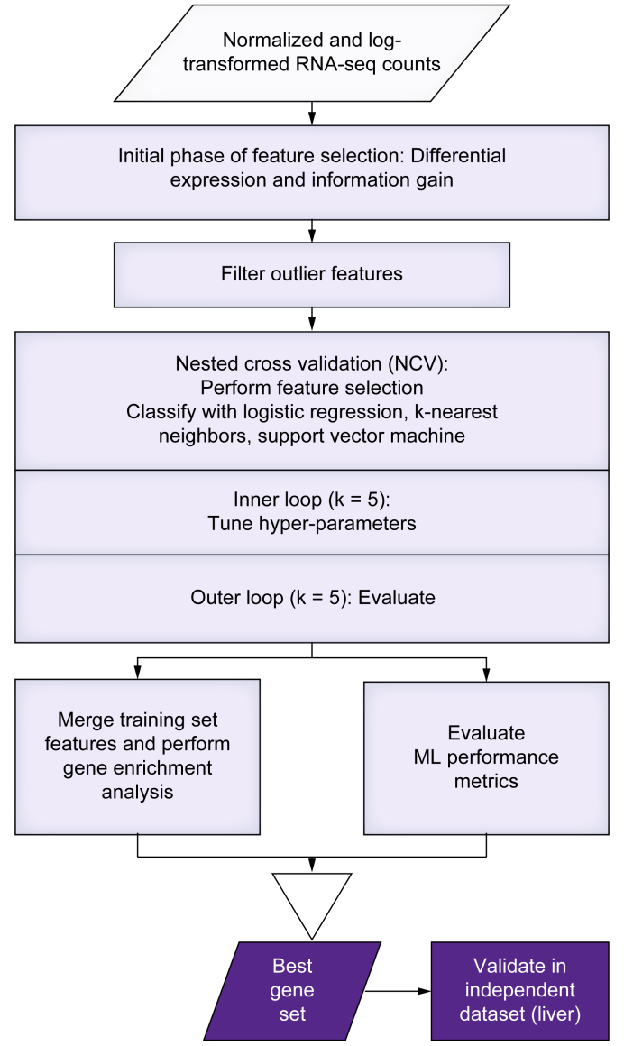 Fig. 1