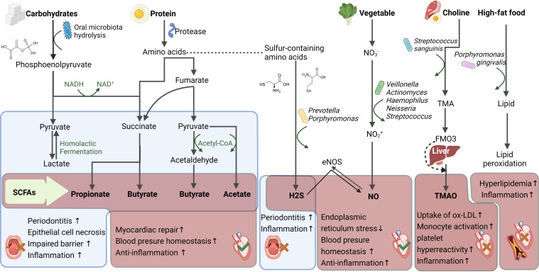 Figure 3