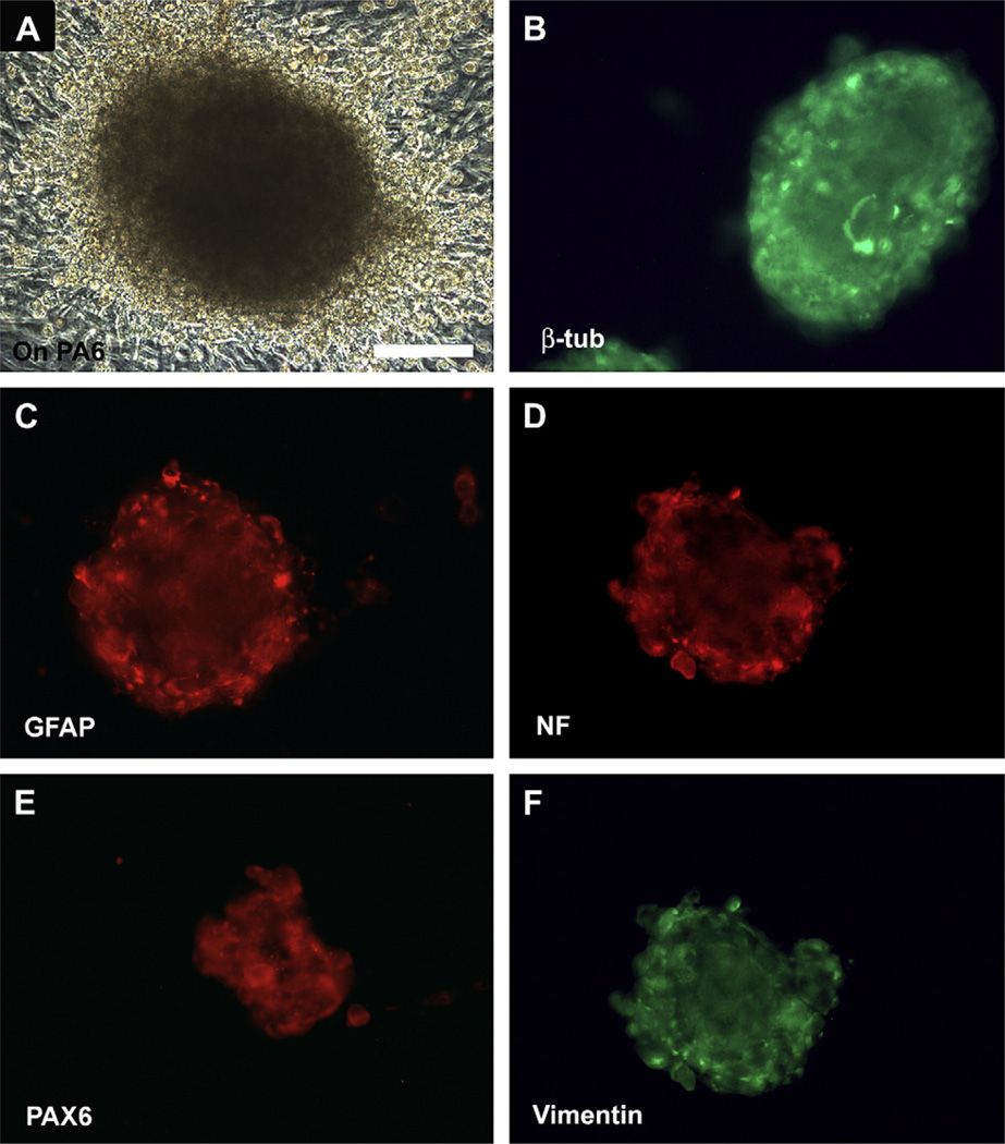 Fig. 3