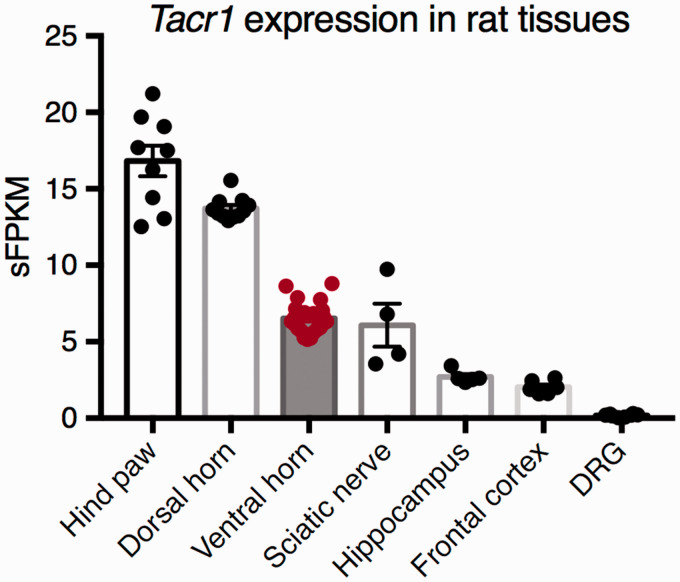 Figure 7.