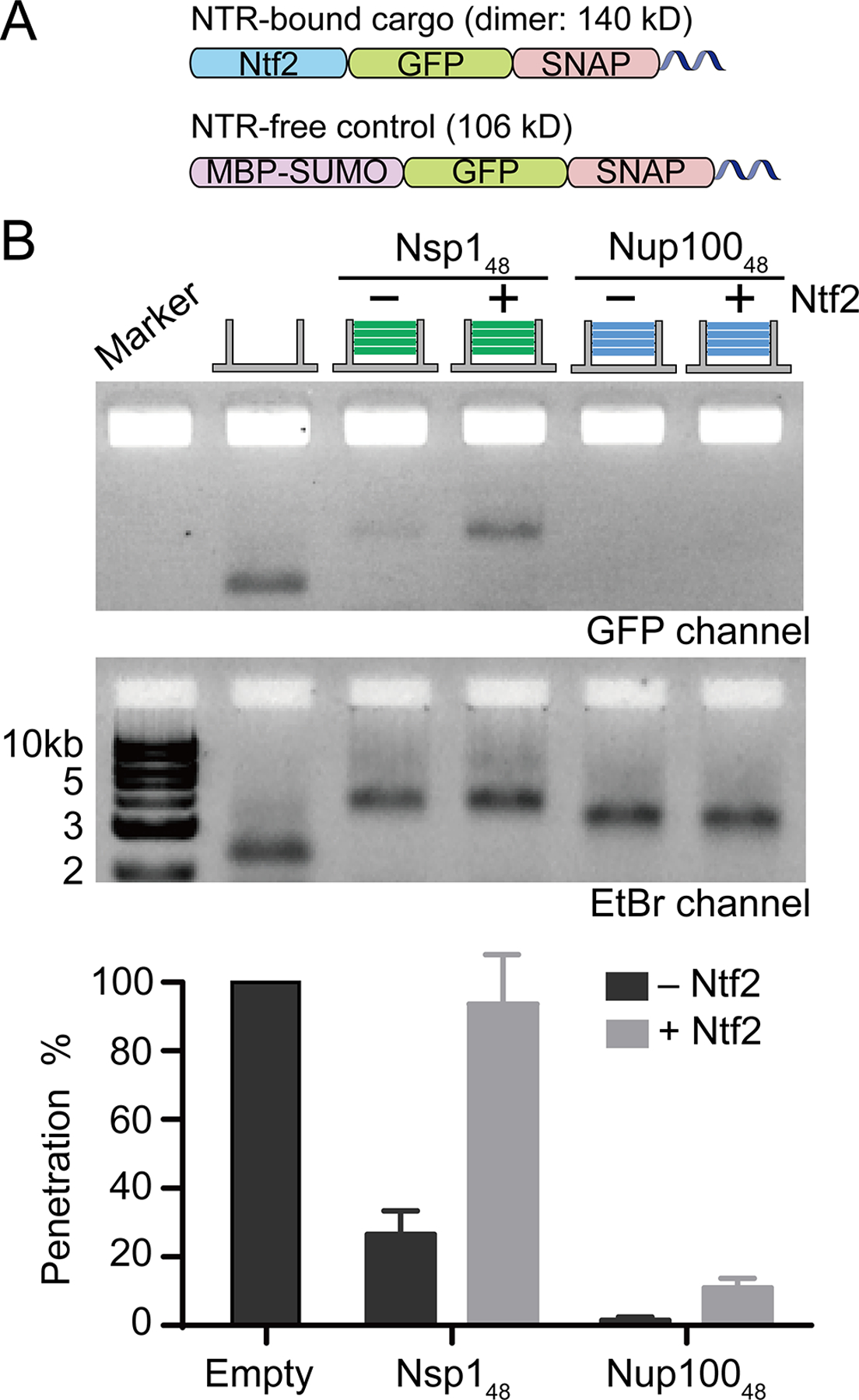 Figure 5.