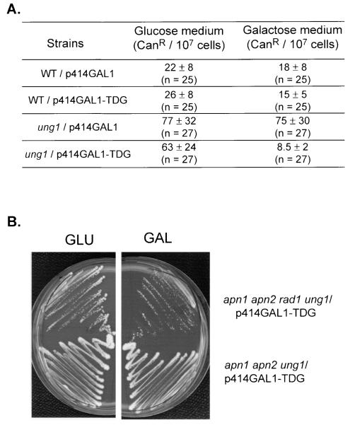 FIG. 4.