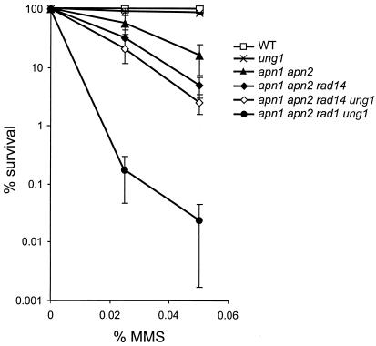 FIG. 3.