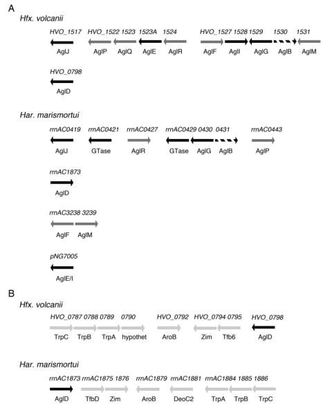 Fig. 5