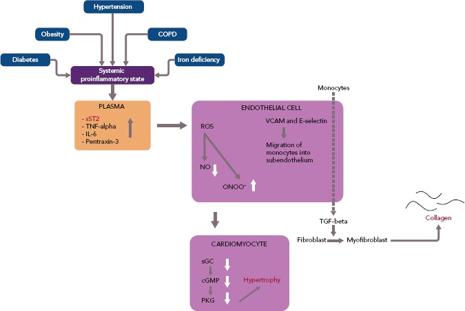 Figure 2: