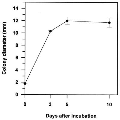 FIG. 3