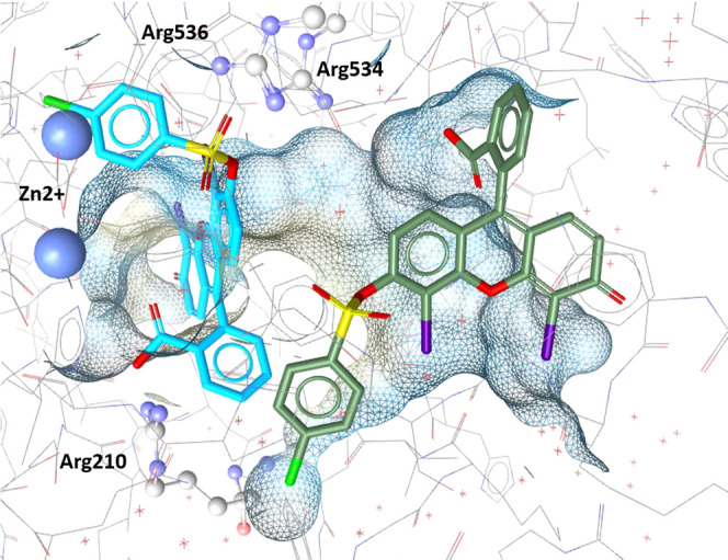 Figure 6