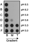 FIG. 3.