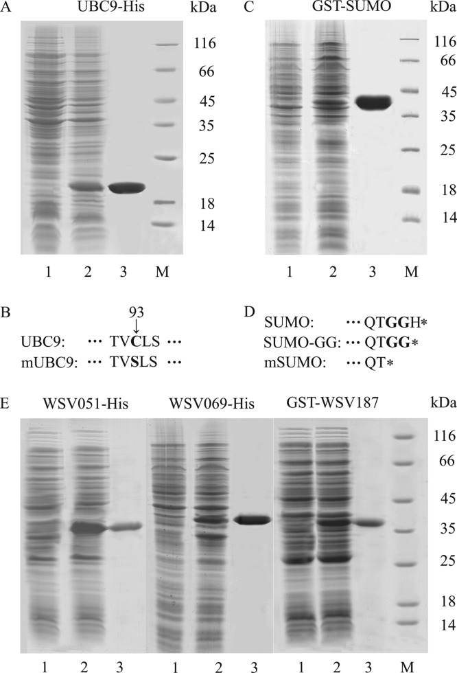 Fig 5