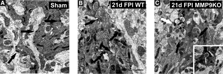 FIG. 9.