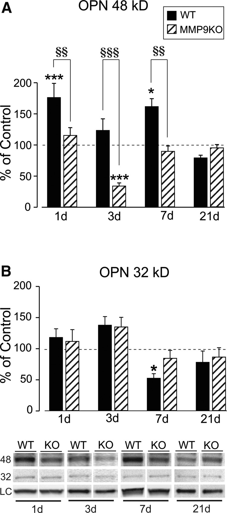 FIG. 6.